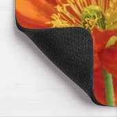 Mooie rode papavery muismat (Hoek)