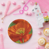 Mooie rode papavery papieren bordje (Feest)