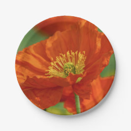 Mooie rode papavery papieren bordje