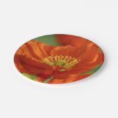 Mooie rode papavery papieren bordje (Gekanteld)