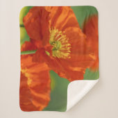 Mooie rode papavery sherpa deken (Voorkant)