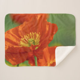 Mooie rode papavery sherpa deken