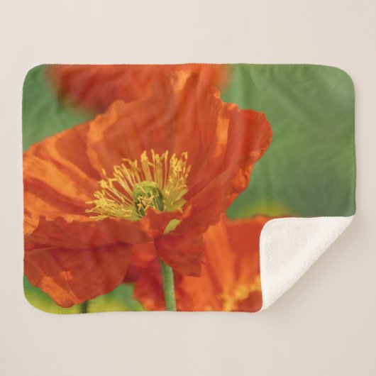 Mooie rode papavery sherpa deken (Voorkant (horizontaal))