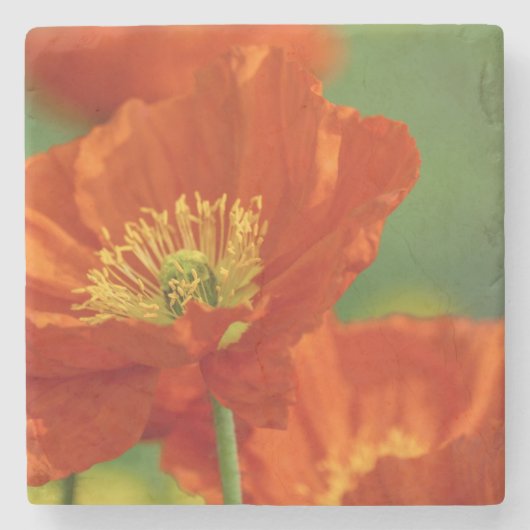 Mooie rode papavery stenen onderzetter (Voorkant)