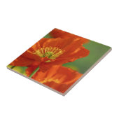 Mooie rode papavery tegeltje (Zijkant)