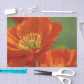 Mooie rode papavery tissuepapier (Craft)