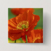 Mooie rode papavery vierkante button 5,1 cm (Voorkant)