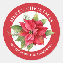 Mooie rode poinsettia