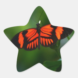 Mooie rode rode en zwarte vlinder ster sticker