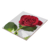 Mooie rode rode rode rode rode rozenbloem tegeltje (Zijkant)