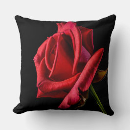 Mooie rode rode rozendop kussen