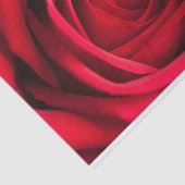 Mooie rode rode rozenfluitpapier tissuepapier (Detail)