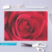 Mooie rode rode rozenfluitpapier tissuepapier (Craft)