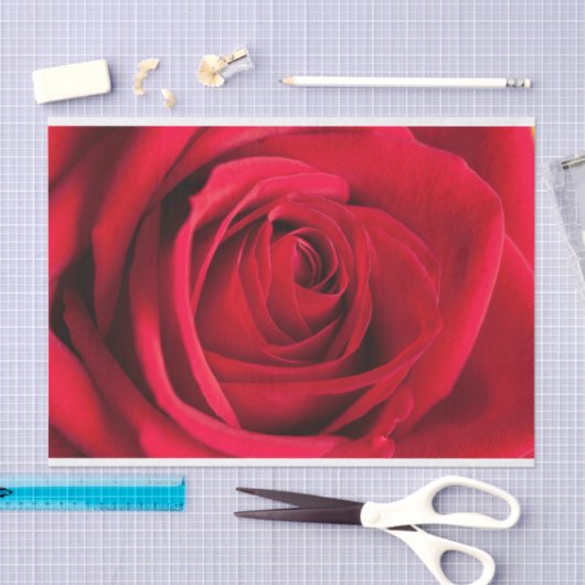 Mooie rode rode rozenfluitpapier tissuepapier (Craft)