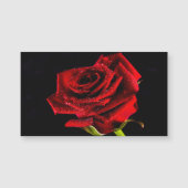 Mooie rode roos (Voorkant)