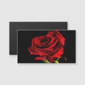 Mooie rode roos (Voorkant / Achterkant)