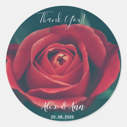 Mooie Rode Roos Bloem Bruiloft Favor Sticker (Voorkant)