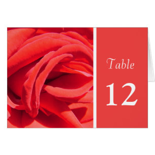 mooie rode roos bloem diner tafel nummer