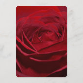 Mooie rode roos bruiloft menu (Achterkant)