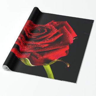 Mooie rode roos cadeaupapier