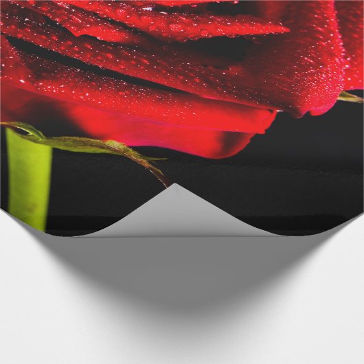 Mooie rode roos cadeaupapier (Hoek)