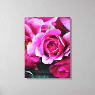 Mooie Rode Roos Foto Canvasprint Canvas Afdruk