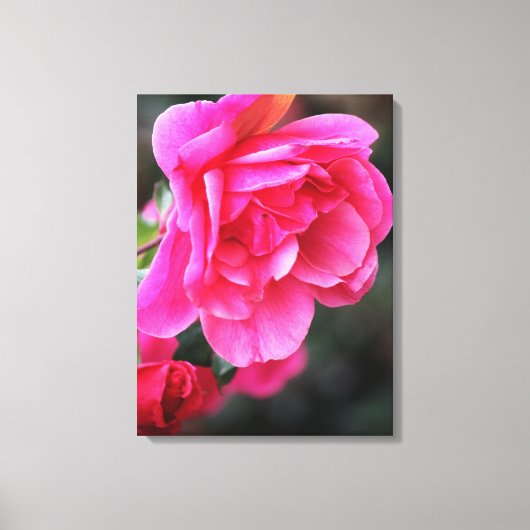 Mooie Rode Roos Foto Canvasprint Canvas Afdruk (Voorkant)