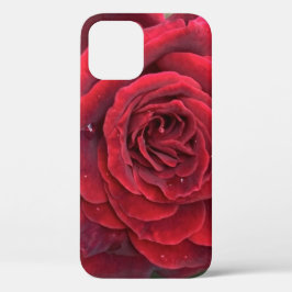 Mooie rode roos iPhone 12 telefoonhoesje Case-Mate iPhone Case