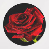 Mooie rode roos labels (Design 2)