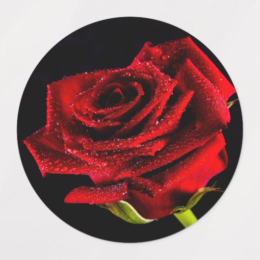 Mooie rode roos labels (Design 1)