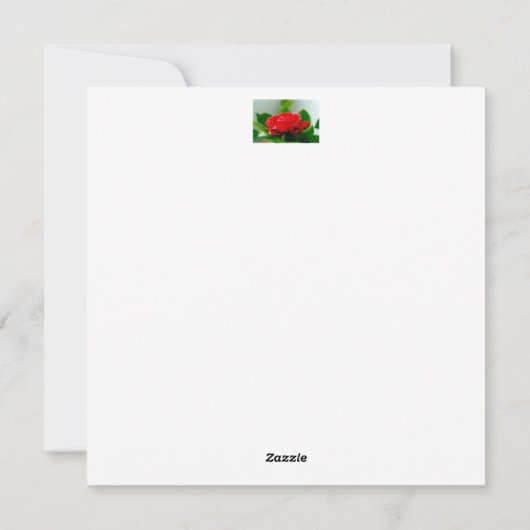 Mooie rode roos ochtend dauw druppels feestdagenkaart (Achterkant)