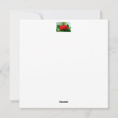 Mooie Rode Roos Ochtenddauw Druppels Feestdagenkaart (Achterkant)