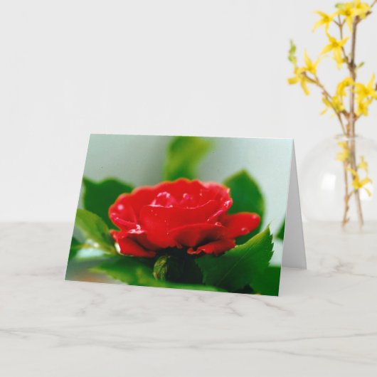 Mooie Rode Roos Ochtenddauw Druppels Kaart (Gele Bloem)