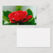 Mooie Rode Roos Ochtenddauw Druppels Notitiekaartje (Voorkant / Achterkant)