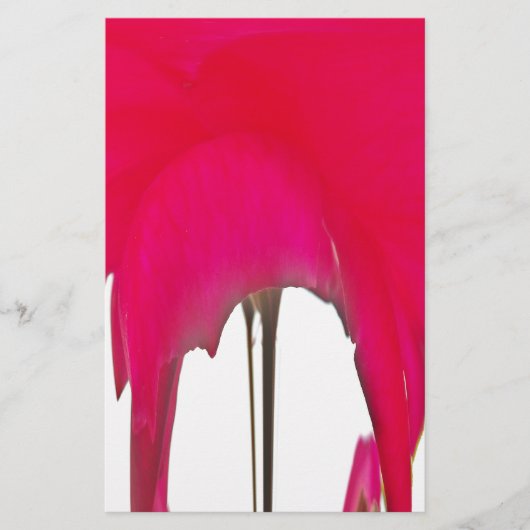 Mooie Rode roos onder de witte hemel Briefpapier (Voorkant)