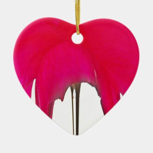 Mooie Rode roos onder de witte hemel Keramisch Ornament (Voorkant)