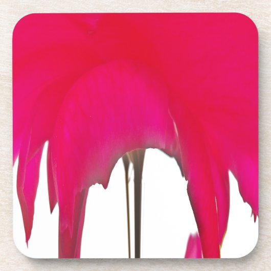 Mooie Rode roos onder de witte hemel Onderzetter (Voorkant)