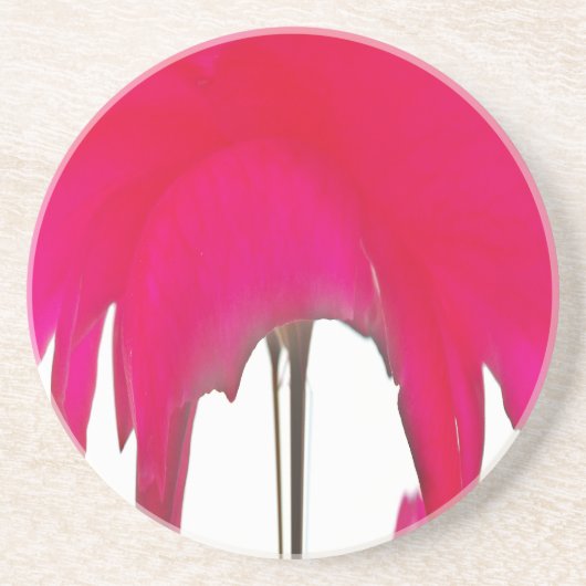 Mooie Rode roos onder de witte hemel Zandsteen Onderzetter (Voorkant)