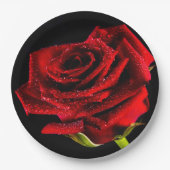 Mooie rode roos papieren bordje (Voorkant)