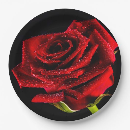 Mooie rode roos papieren bordje (Voorkant)
