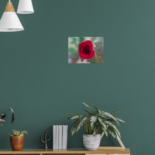 Mooie Rode Roos Poster (Woonkamer 1)