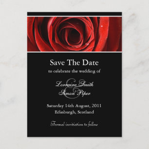 Mooie rode roos Save the Date Briefkaart