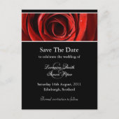 Mooie rode roos Save the Date Briefkaart (Voorkant)