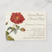 Mooie rode roos voor tuinman visitekaartje (Achterkant)