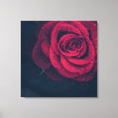 Mooie rode roze met waterdruppels canvas afdruk (Voorkant)