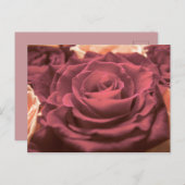 Mooie rode roze rozen bloemen foto romantisch briefkaart (Voorkant / Achterkant)