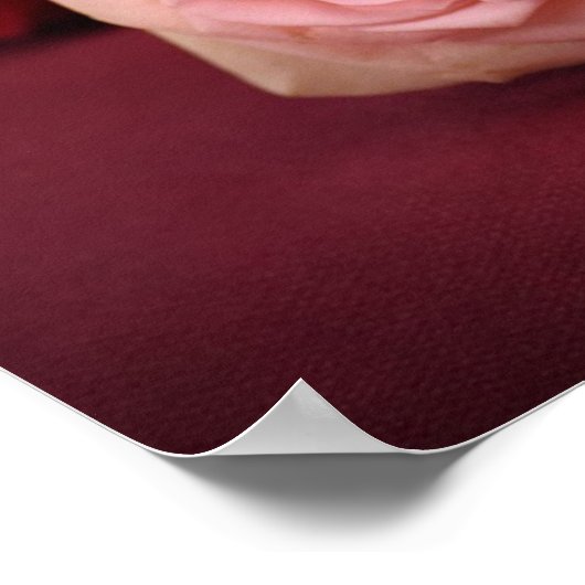 Mooie rode roze rozen poster (Hoek)