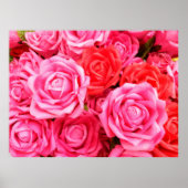 Mooie rode roze rozen poster (Voorkant)