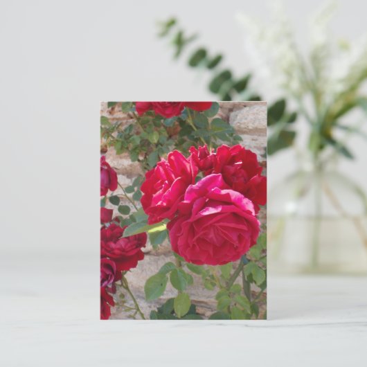 Mooie rode rozen briefkaart (Staand voorkant)