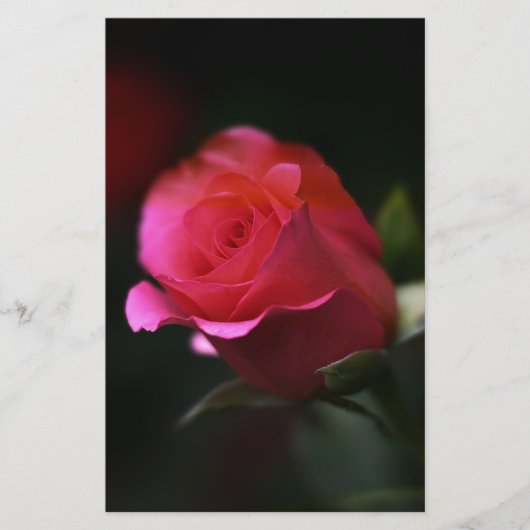 Mooie rode rozen briefpapier (Voorkant)